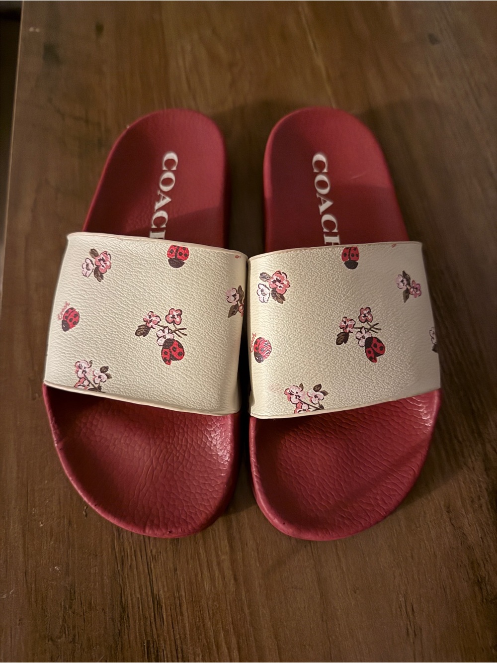 Coach Floral Ladybug Slide Sandals